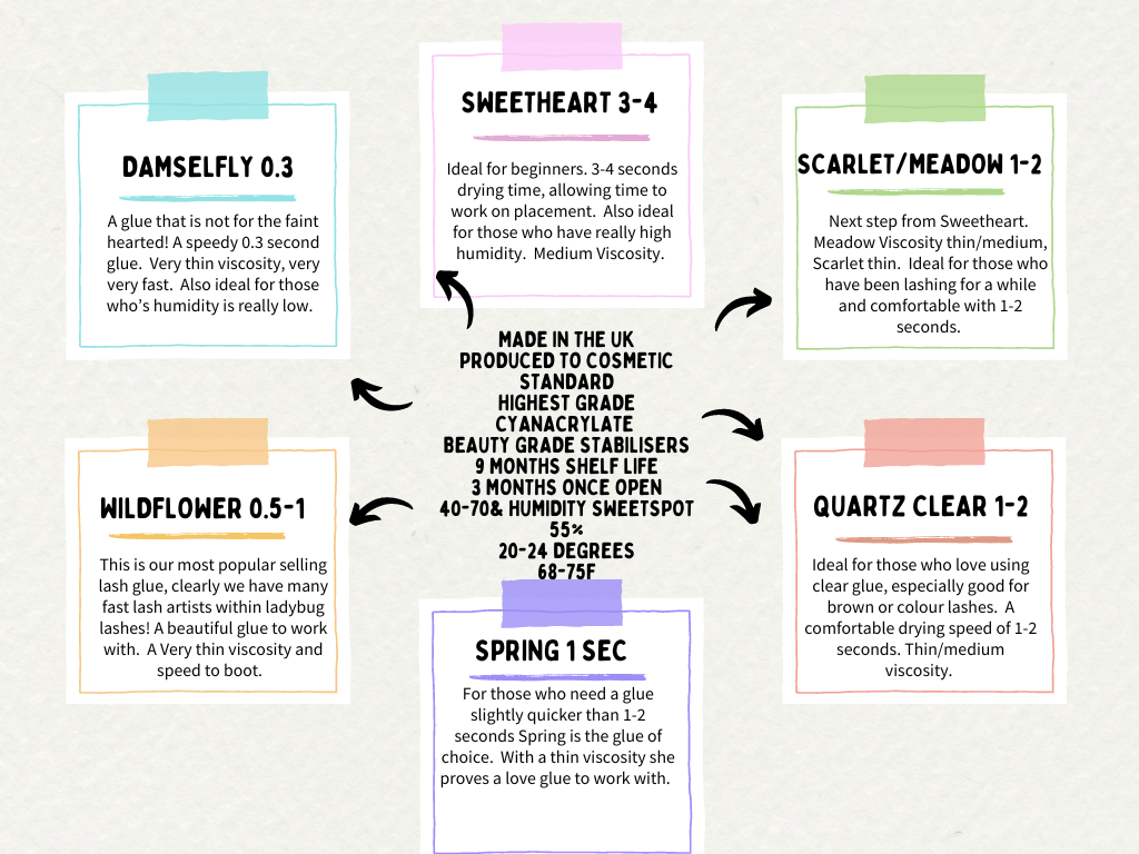 Colorful Simple Mind Map Chart .png